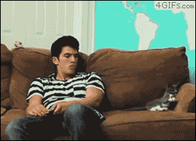 tashaburnsred:  the-absolute-best-gifs:  Follow this blog, you will love it on your dashboard  I watched this for like 10 minutes  Had to reblog. Wtfery.