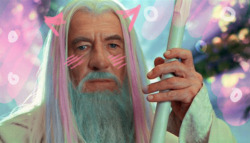  Gandalf? Yes…that’s what they used to call me. Gandalf the Grey. That was my name. I am Gandalf the Kawaii, now. 