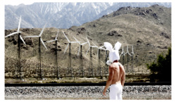 Toxic Bunny - Palm Springs, California - 2012 Alexander Guerra AlexanderGuerra.com