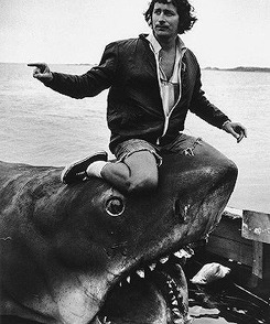 paulsnewman:  Steven Spielberg on the set of Jaws (1975) 