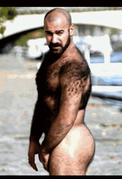 luvdarkblackhairy:  FURCOAT JASSIM VISIT MY 2ND BLOG GAY GIFS FOR FUN FOR LOADS OF GIFS LIKE THESE ONE (in Tumblr Mosaic View) SEE ALSO MY ARCHIVE HERE AT LUVDARKBLACKHAIRY (Tumblr Mosaic View as well) FOR MANY MORE HAIRY, DARK, BLACK, CUTE &amp; AWESOME