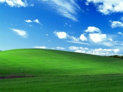 bisexualzuko:  fish-d:  cry-of-the-brave:   The photo at top is the most-viewed image in the world, the “Bliss” wallpaper that came with Windows XP.  The photo at bottom is what the same spot looks like today.  Earth is going downhill fast..  the