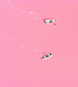  Lake Retba in Senegal The bizarre colour is caused by high levels of salt - with some areas containing up to 40% of the condiment. Michael Danson, an expert in extremophile bacteria from Bath University, said: “The strawberry colour is produced by