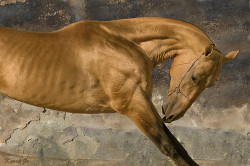 45. Akhal-Teke - Magnatli by Kerri-Jo on Flickr.seriously fuck look at this! it is amazing. About super photorealistic illustrations people sometimes say &ldquo;i thought this was a photo at first!&rdquo; &hellip;but for me in this case i kind of had