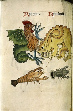 f-featherbrain:  The Tudor Pattern Book, Bodleian MS. Ashmole 1504, East Anglia, ca. 1520 