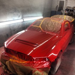 One cobra painted lol (Taken with Instagram)