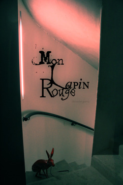 Mon Lapin Rouge - Paris 2012 Alexander Guerra  AlexanderGuerra.com