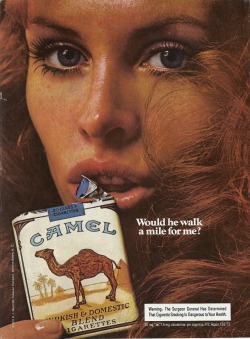 Camel, Vintage Ad, Penthouse - November 1973
