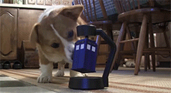 thefrogman:  Otis vs the TARDIS. [the video is much cooler!] 