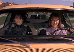 human-s0uls:  mom driving her kid to warped tour 