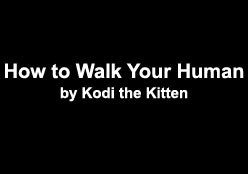 pleatedjeans:  how to walk your human [video]  Absolutely awesome.