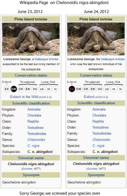 science:  Lonesome George is dead. Since being discovered more than forty years ago, he has been the last of his kind, the Pinta Island tortoise. With him, his species dies. Someone on reddit made this comparison of the Wikipedia page for the Pinta Island