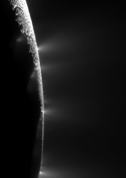 crookedindifference:  Enceladus Geysers  Dramatic plumes, both large and small, spray water ice out from many locations along the famed “tiger stripes” near the south pole of Saturn’s moon Enceladus. 