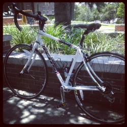 Great day for a hot dog and biking around campus (Taken with Instagram at Mom &amp; Pop&rsquo;s Hotdogs - Landis)