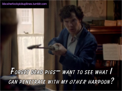 &ldquo;Forget dead pigs&ndash; want to see what I can penetrate with my other harpoon?&rdquo;