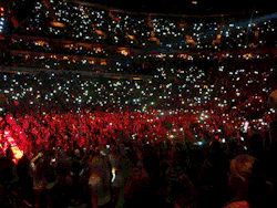 adele-rolling-in-the-deep:  Make you feel my love - Adele at the Royal Albert Hall ♥ 