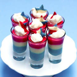 gastrogirl:  sugar cookie pudding jell-o shots. 