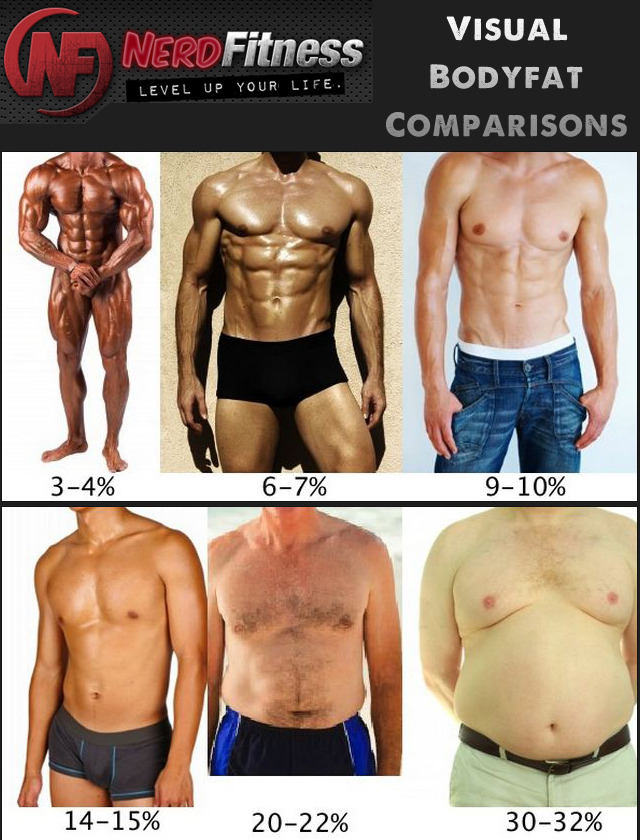 Body fat percentage