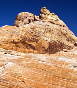 Look closely&hellip;. photo by Manny Lemus, Valley of Fire, Nevada