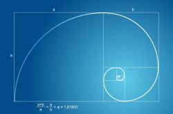 sciencesoup:  The Mathematics of Beauty The Fibonacci Sequence is a sequence of numbers where each number is the sum of the previous two—i.e., 0, 1, 1, 2, 3, 5, 8, 13, 21, 34…and so on to infinity. The ratio of one number to the next is approximately
