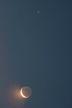 microbe:  Jupiter and its moons Europa, Ganymede, Callisto, and the Earth’s moon all caught in the same photo. 
