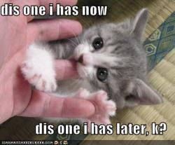 Omg you so cute!!! I want a kitten