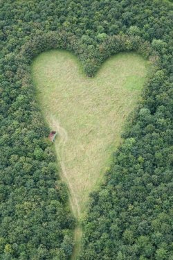 amaster:   A heart-shaped meadow, created by a farmer as a tribute to his late wife, can be seen from the air near Wickwar, South Gloucestershire. The point of the heart points towards Wotton Hill, where his wife was born.  I want to have a love so strong