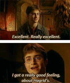 wholock-potterhead:  awesomeiness:  potter-merlin:  pitythemonster:  rosereturns:  19/30:Â Funniest moment - Harry high on Felix Felicis  This is not acting, this is Daniel acting like Daniel.  High Harry was the greatest  One of the only parts that