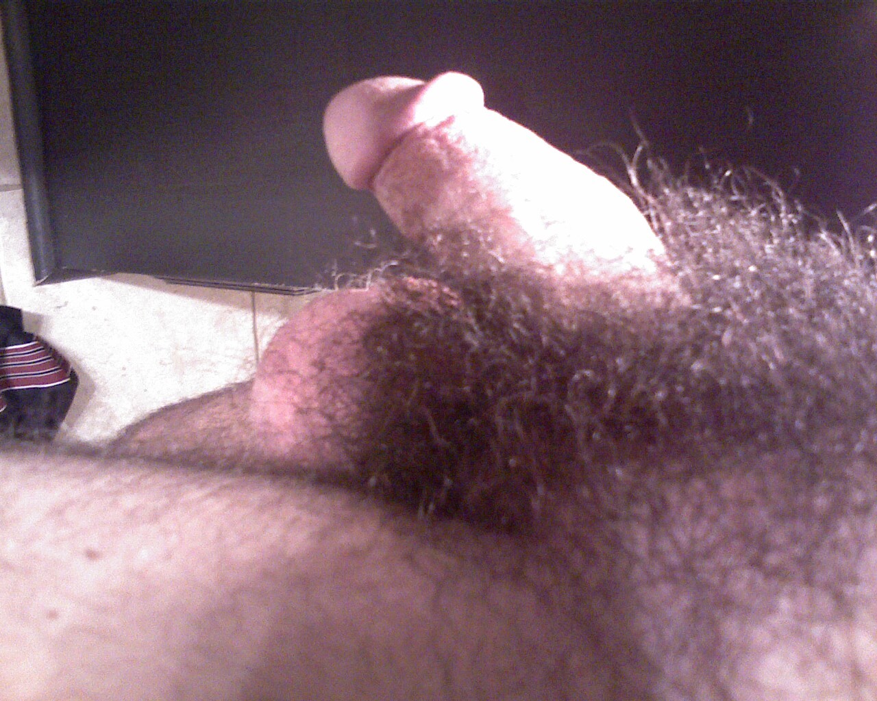 Hairy Cock Pics 105