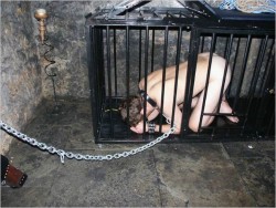 lorddadeofcarlisle:slaveboymatt:Even when the slave was locked in the cage, Master still demanded that it adopt a respectful position. lorddadeofcarlisle