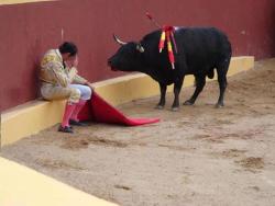   This incredible photo marks the end of Matador Torero Alvaro Munera’s career. He collapsed in remorse mid-fight when he realized he was having to prompt this otherwise gentle beast to fight. He went on to become an avid opponent of bullfights. Even