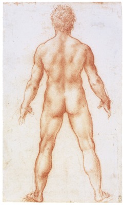 thisblueboy:  Leonardo da Vinci, A nude man from behind, c.1504-6, The Royal collection, England 