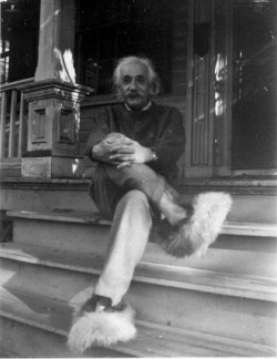gsfsoul:  Albert Einstein in Fuzzy Slippers   Probably reblogged this before yolo
