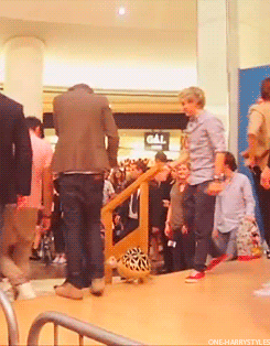 kissmelikeyou-wannabelove:  boobearandbabycake:  temptmetobelieve: Harry is such a special child. But you know what my absolute favorite thing about this is? They indulge him. Both Niall and Louis wait till he’s got the damn balloon animal down the