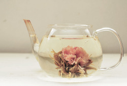 lettersnowhere:  Strawberry Misaki Blooming Tea at Teavana I want it. 