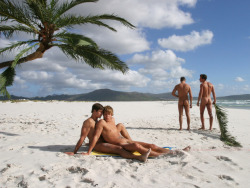 Awesomely gay beach