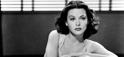 brodingershat:  sarahanndippity:  yellowis4happy:  applepiemonster:  lierdumoa:  fuckyeahhistorycrushes:  The woman who made your Wifi working. Hedy Lamarr was an Austrian-born American actress. Max Reinhardt called her the “most beautiful woman in
