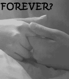 panchi-y-dano:  ever forever &lt;3 