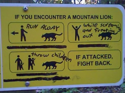 stuffgoingviral:  If you encounter a mountain lion. How to render a well meaning sign into something hilarious. As seen on Reddit.