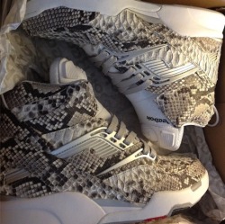 i think these look pretty sweet 8)  snakeskin ftw. that is all
