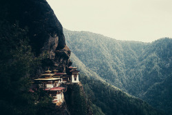 1iberated:  tiger’s nest by rachael hyde on Flickr.