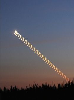 microbe:  Multiple shots of the moon setting put into one photo. 