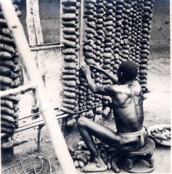 ukpuru:   Photo of an Igbo man tieing yams onto a large frame made of stakes inside a yam barn. Man wearing loincloth, sitting on a carved stool.  — J Stöcker, 1880-1939. 