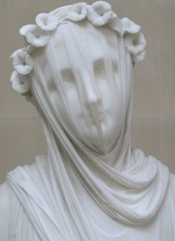 todaylour:  andthroughthemosstheivycreeps:  impuretale:  beatrixspoke:  saaaaaasha:  hey guys that is carved  from MARBLE THAT IS A ROCK  WAT  I have no idea how the artist manages to make it looks like not just cloth, but TRANSPARENT cloth. Amazing.