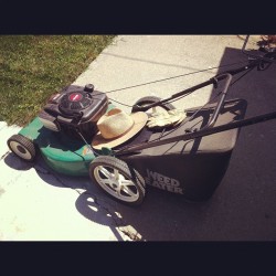 Essentials for cutting the grass. #instaphoto #yardwork  (Taken with Instagram)