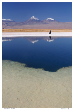 handa:  Laguna Cejar, a photo from Antofagasta, Norte Grande | TrekEarth