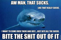 calmingmanatee:  [Image description: A great white shark swimming towards the camera, facing slightly to the right of the frame. TEXT: Aw man, that sucks. Like, that really sucks. I want to come over there and just…bite all the sucks. Bite the shit