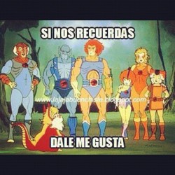 for my english speaking family: &ldquo;if you remember this&hellip; hit like!&rdquo; #thundercats  (Taken with Instagram)