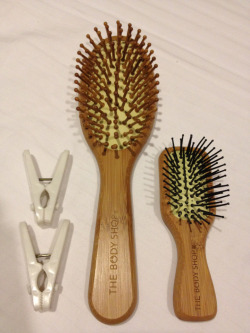 2 clothes pegs, regular-sized wooden hairbrush (handle: 4 inches in length, 1 &frac14; inches across), mini wooden hairbrush (handle: 1 &frac34; inches in length, 1 inch across).