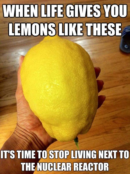 Lemon whores